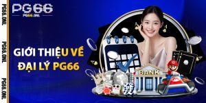 Giới Thiệu Về Đại Lý PG66